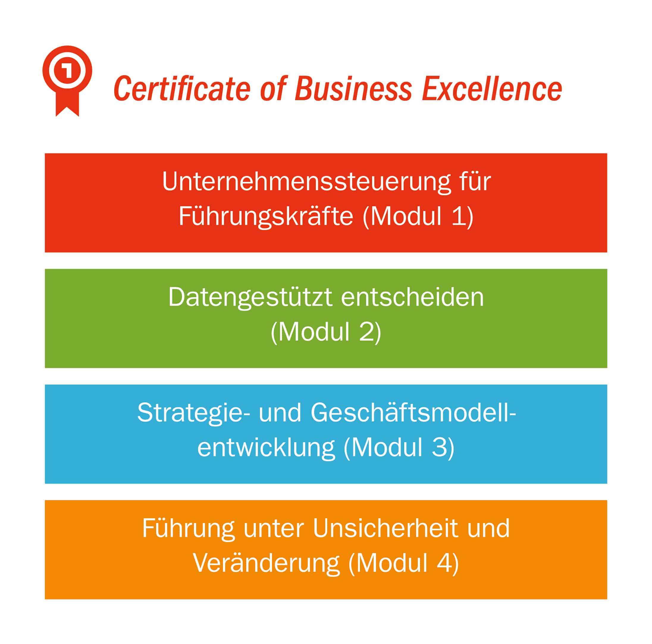 Certificate-of-Business-Excellence-Grafik Controlling Business Leadership Zertifikat