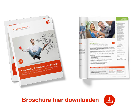 Controlling Business Leadership Broschuere