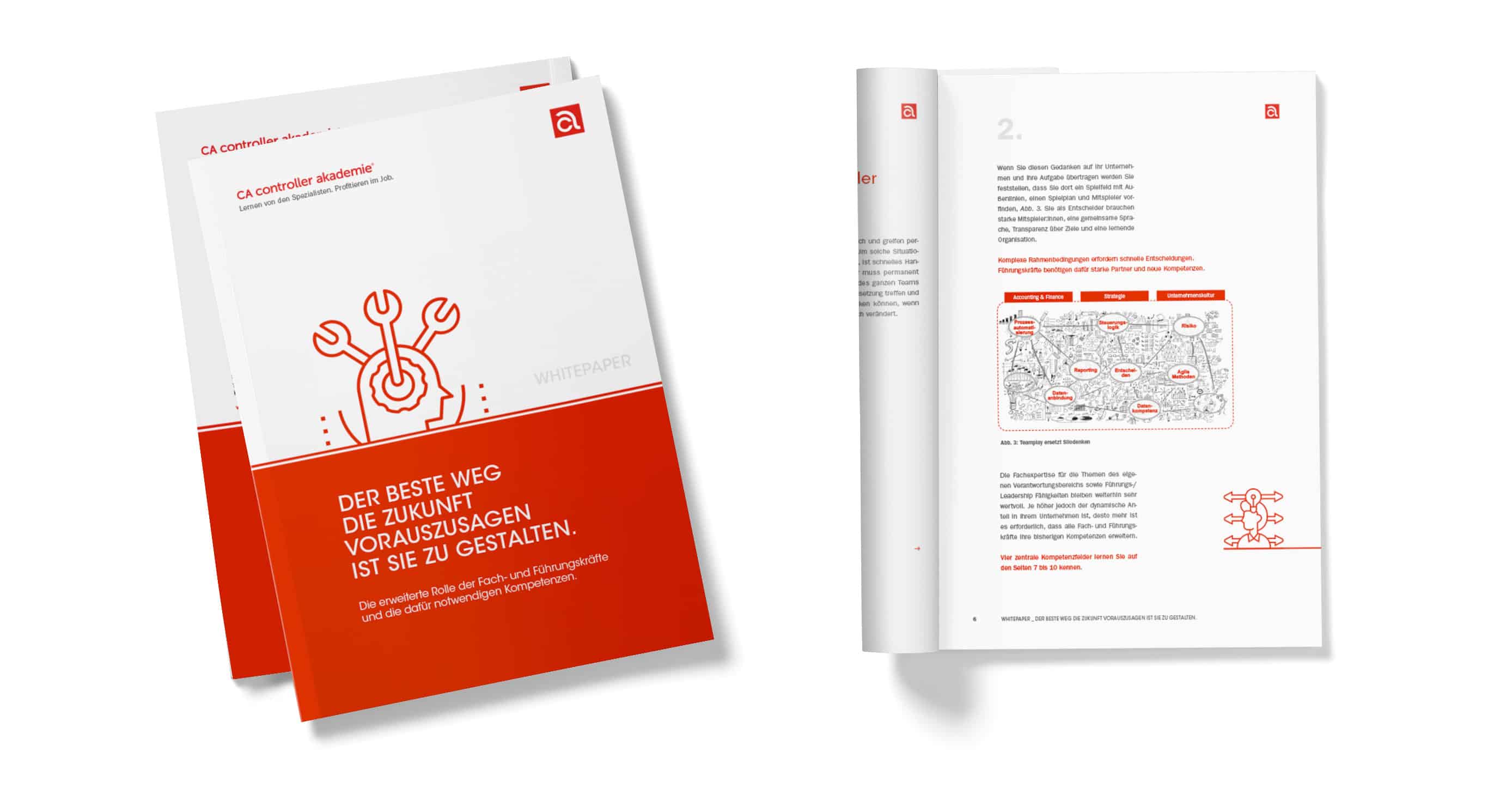 Whitepaper die erweiterte Rolle der Fach und Führungskräfte