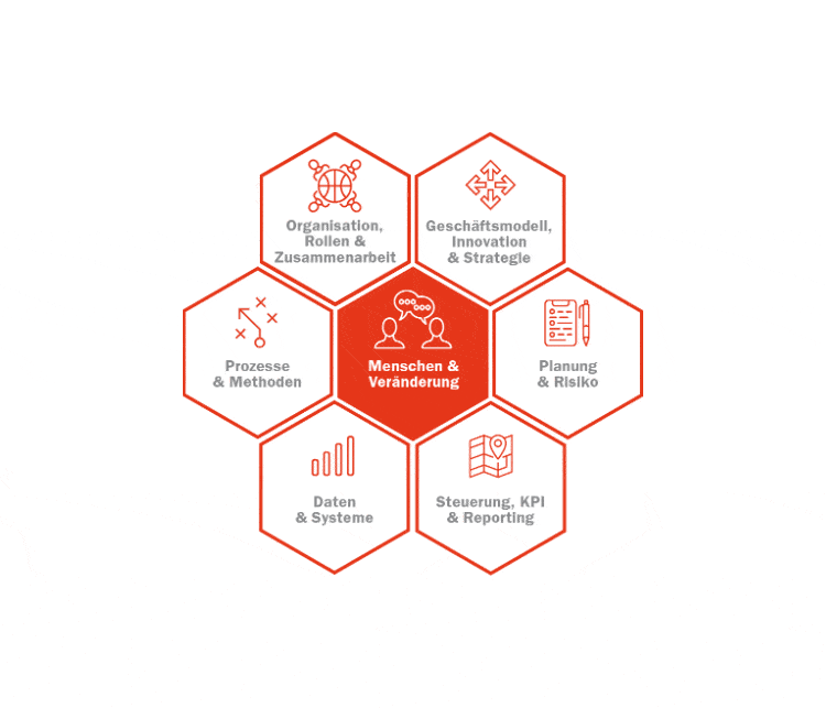 CA-Kompetenzfelder-Organisation-Rollen-Zusammenarbeit