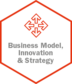 Kompetenzfeld Business Model Innovation and Strategy im modernen Controlling