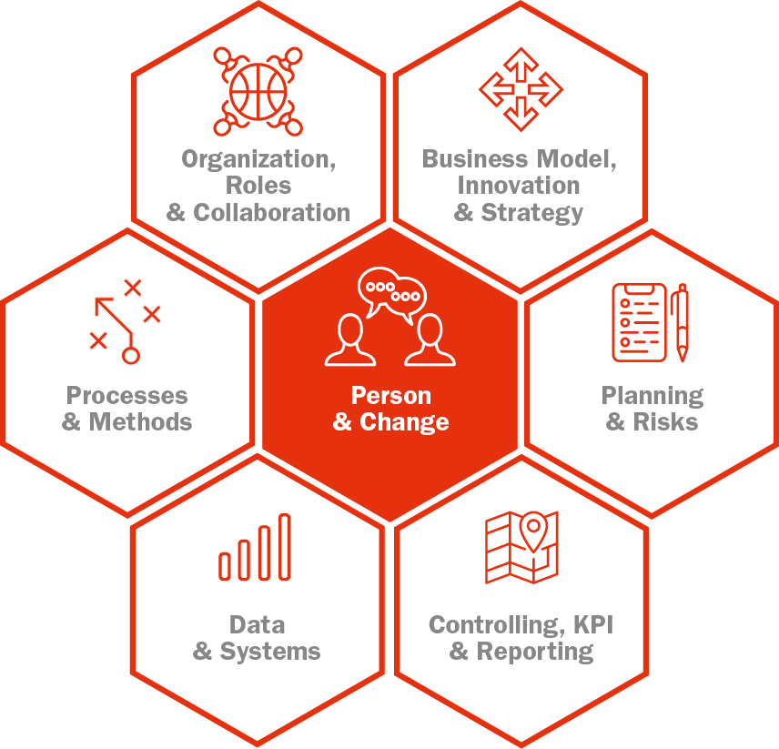 Grafik zu Kompetenzfeldern im Controlling und Change Management